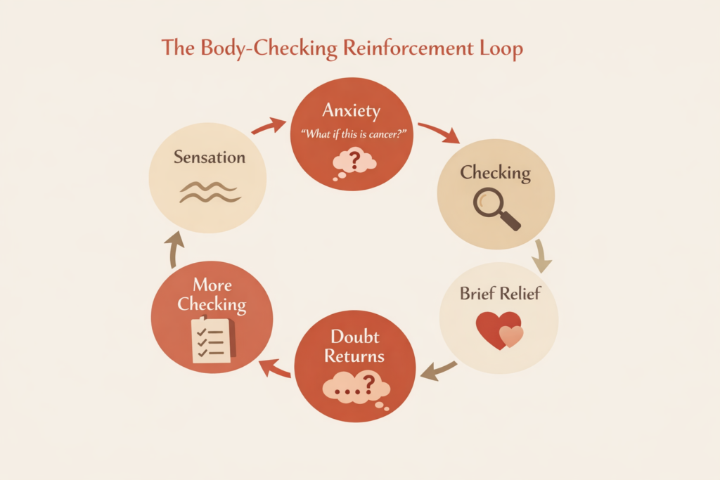 Diagram showing the body-checking reinforcement loop after cancer: sensation leads to anxiety, checking, brief relief, returning doubt, and more checking